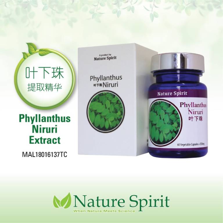 Nature Spirit Phyllanthus Niruri Extract Nature Spirit nature-spirit-phyllanthus-niruri-extract-nature-spirit